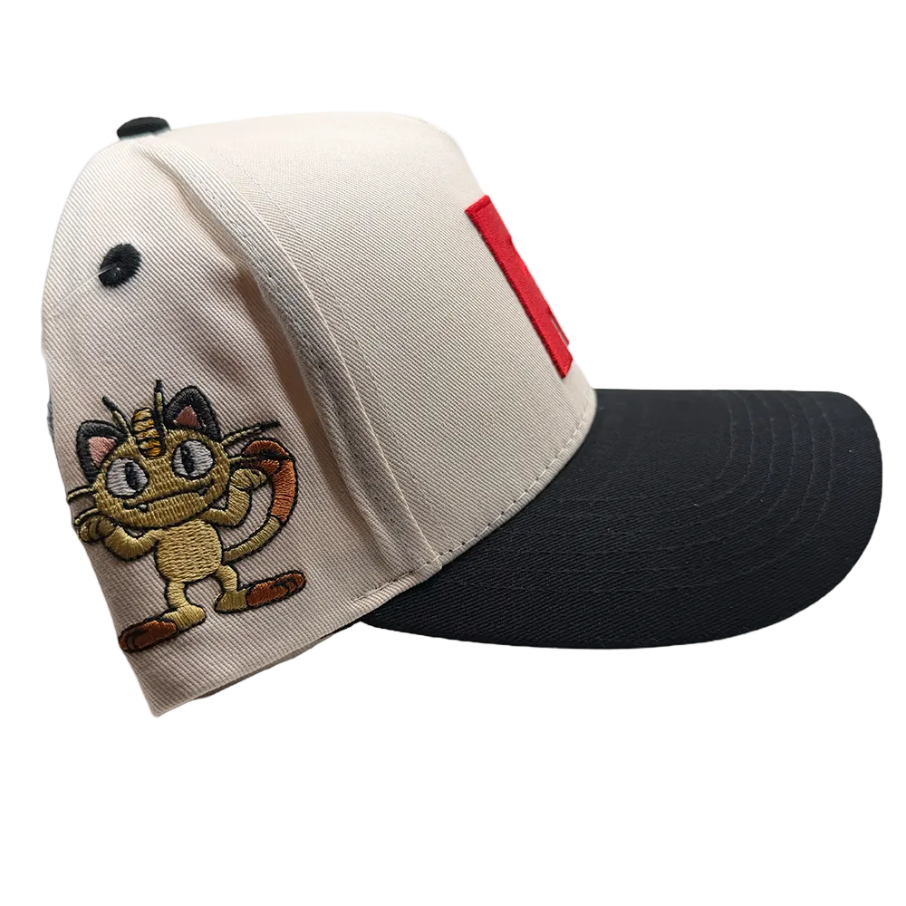 Team Rocket Snapback