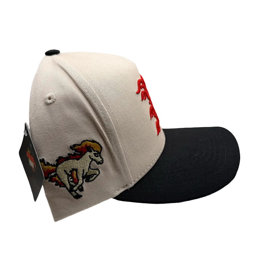 Ponyta Snapback